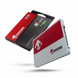 SSD Keepdata 120GB 2.5" SATA 3 KDS120G-L21 500/450 MB/s